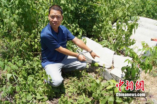 ����һ������ٷ���Ҫ�����⳥������թƭ����