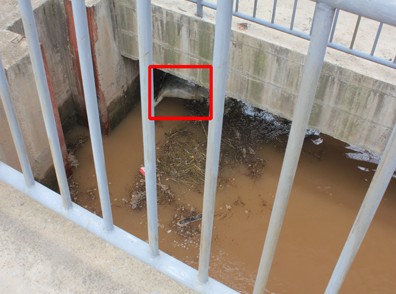 四川米易县安宁河中现浮尸 警方介入调查(图)