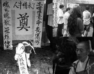 ����ũ��Ϊ��ţ��׷����Ʒ����ʽ��������ͼ��