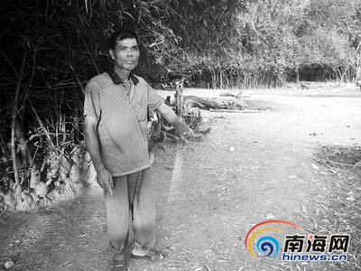 ������ǹ�����������Ӿ�������300����ץ����ͼ��