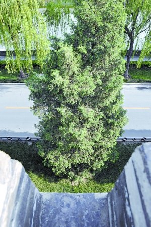 �ܶ��ɺϴճɹʹ�����������ٳ����ַ�����