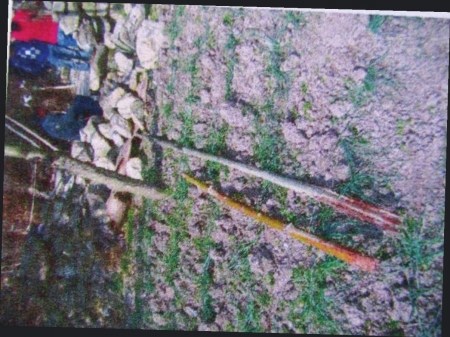 ���񲡶��Ӿ�����ĸ���޲������ܽ����������