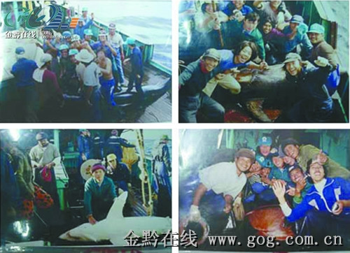 ���ӻ����Խ��α�ƭ�����޴�ڹ�һ������20��