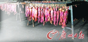 �㶫��ݸ�������⡱�¼�10���ɷ���ץ���Ϸ���