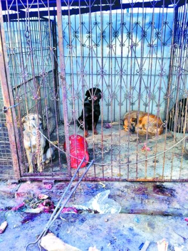 ������ɱ����־Ը�߿��������ͺ��Ѳ鴦��ͼ��