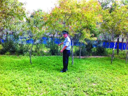 ��ѧ����ҵ�Ҳ�������ûǮ�Է��ֵ����٣�ͼ��