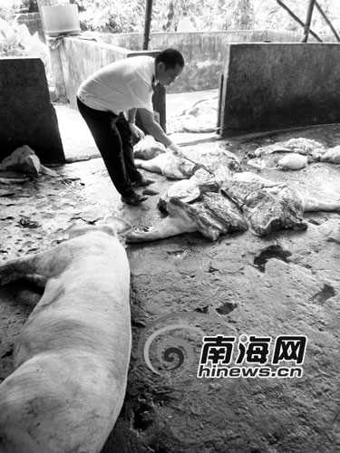 ����˽�׵��ղ�ǧ�ﲡ������������Ƶ꼰ѧУ