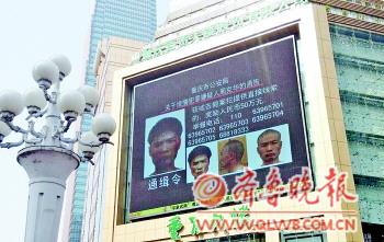 专家:周克华赏金虽达数百万不会全归爆料人