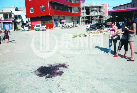 59���Ϻ�����������������Ⱦ������Ѯ�����