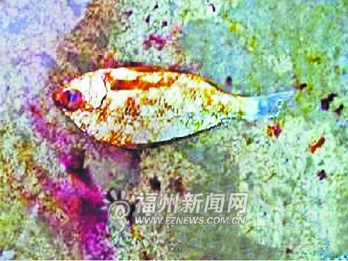 ����һ�г����ظ��������������䡰��ơ���ͼ��