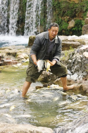 �����Ӵ������������ֱ�Ӿ�����ʧ50����Ԫ