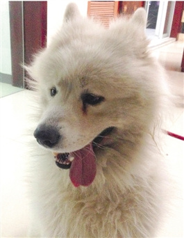 Ů�Ӱ�������͵���ؼ������������ץ��