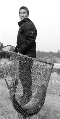 ��������Ͷ��һ����3000���㾯������������