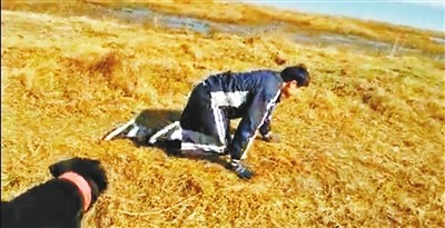 教授预测官员财产公开进程赌输践诺爬行一公里(图)