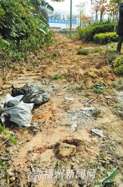 ����һ���̵�107����ľ����԰�ֲ��ű�����ͼ��