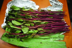 �����¶�Ʒ��������ڡ������й�ϵ�����ȴ�ֲ��