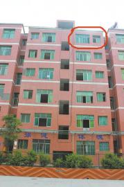 14����Ů�賿׹���ڳ�8������ǿ��δ�챻ץ��ͼ��