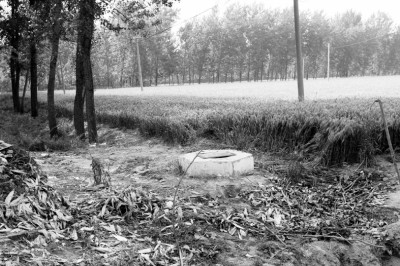 ����ǿ��16����Ů�¶Է���������Ͷ���������