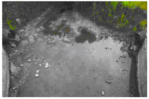 ����Ů�����������ţ��ֽ��������������ڣ�ͼ��