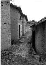 �㽭����һ��ׯһҹ�䱻͵����������˱���