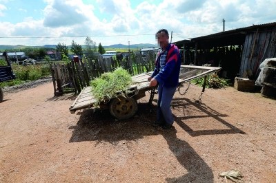 �������ץ�����������ӷ������²��������绰