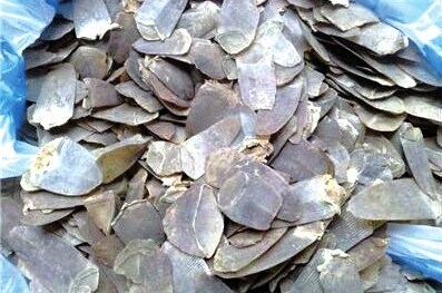 ������˽��ɽ����Ƭ�ƽ�һ��ͬ����ָ֤��10���