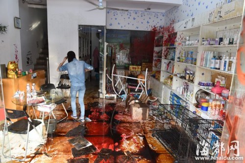 狼狗死在宠物医院男子泼油漆泄愤称“陪我钱”(图)