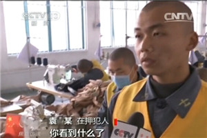 �������ݼ���6��8��������������ع⻹ԭ����