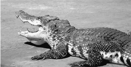 ������������������ֹ״�������ҵ��֤��