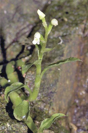 ����·��ֵ�127��Ұ����ȫ����10���ף�ͼ��