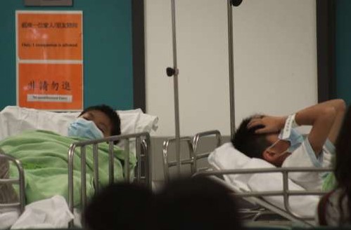 ������������ȱ������20��Сѧ���ж���ͼ��