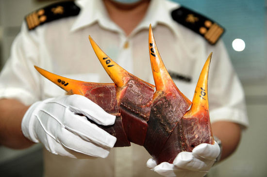 ������ڿ羳��˽���ɻ�159���׶���ͷ��