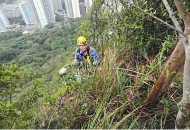 �������������Ų�ɱ�Ϸ����ɽҰ������������