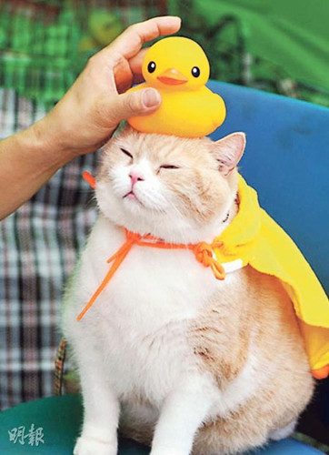 点图查看下一页