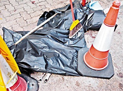 港一只史纳莎犬离奇堕楼 肚破惨死场面恐怖(图)