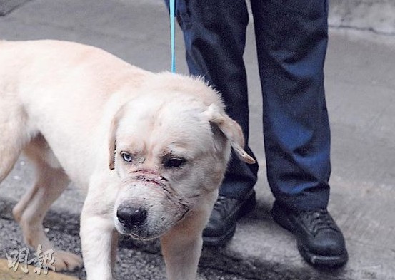 �ý������조���������Ů�����ա����в���ͼ��