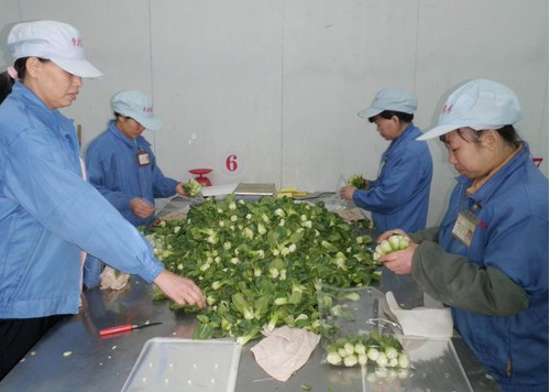 �㶫�����߲�ʵ��ȫ�̼��ȷ�����˳Ե÷���