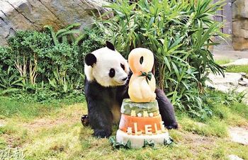 ������ӱ�����̸ۺ���԰Ϊ����è������ͼ��