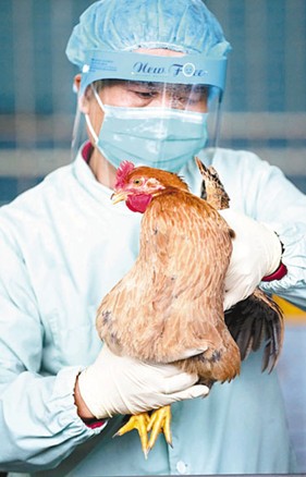 �۴��ƽ�Դͷ֮���жϻ����г�����H7N9��������