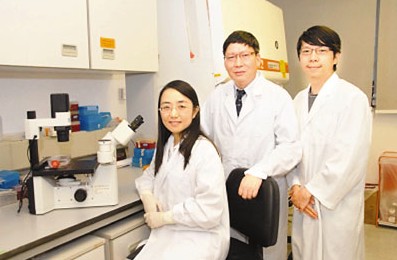 H7N7病毒变种无疫苗恐现“隐形带菌者”(图)