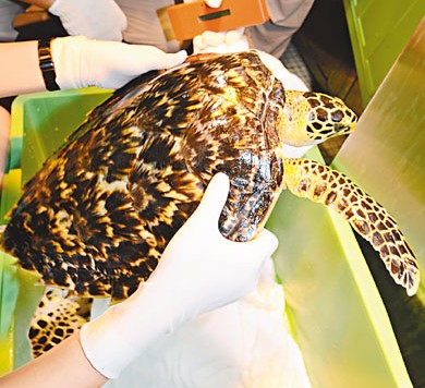 θ���н�����۱�Σ��裺��걻�������������