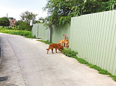 ��׷ҧ��Թ�޸����ӷŶ������ɱ�����в���ͼ��