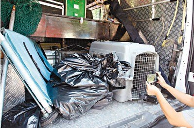 4ֻС��������Ѯ��3ֻ���������ɱ�������ͼ��