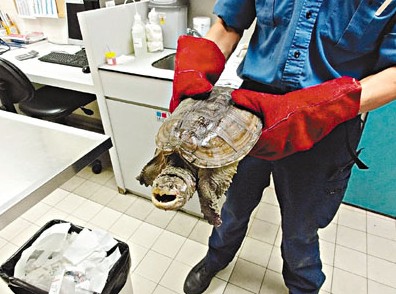 �����������䳵�׸���ҽָ�������ҧ����ָ��ͼ��