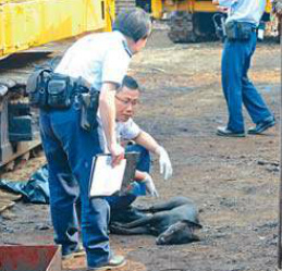 ������ͣ�����ⶾɱ�³����а�ֻ�������ţ�ͼ��