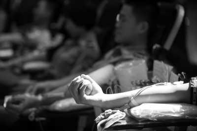 ��ž�פ���Ų��ӵ�ʮ�Ĵ��޳���Ѫ��ͼ��