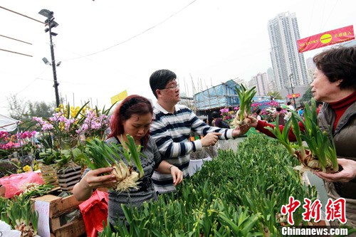 �������̯λ������Ͷ�����̯λ54���Ƽ�¼