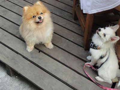 ���Ƶ�ء�����������ý������ָ���˲��ǡ�Ԫ�ס�