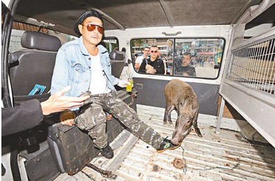 �����Ӻ����������в������Ƕ����������塱��ͼ��