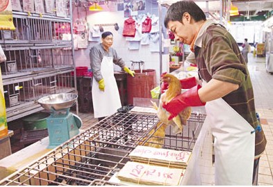 ��۹���Ϊ������������׼����������΢����ͼ��